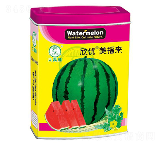 欣優(yōu)美福來西瓜種子-大禹種業(yè)