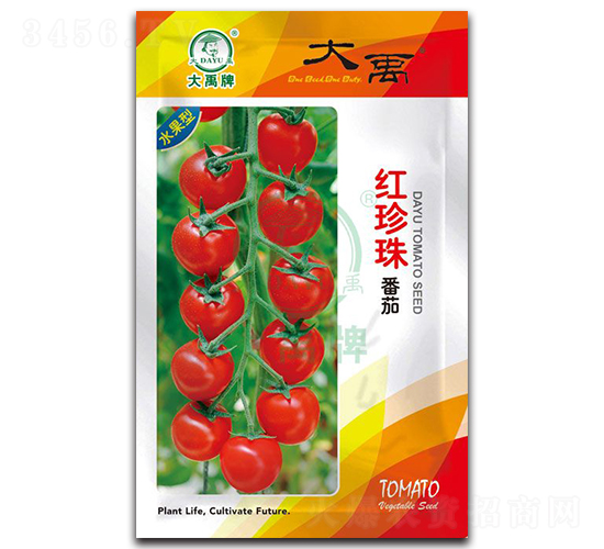 �t���鷬�ѷN��-�����N�I(y��)