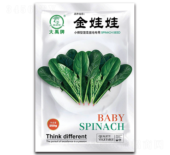 金娃娃菠菜種子-大禹種業(yè)