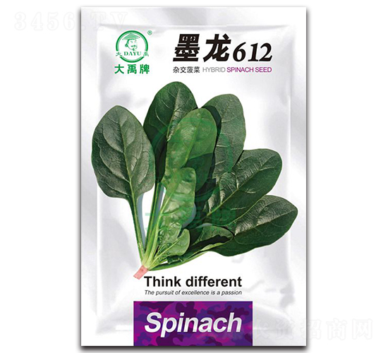 墨龍612菠菜種子-大禹種業(yè)