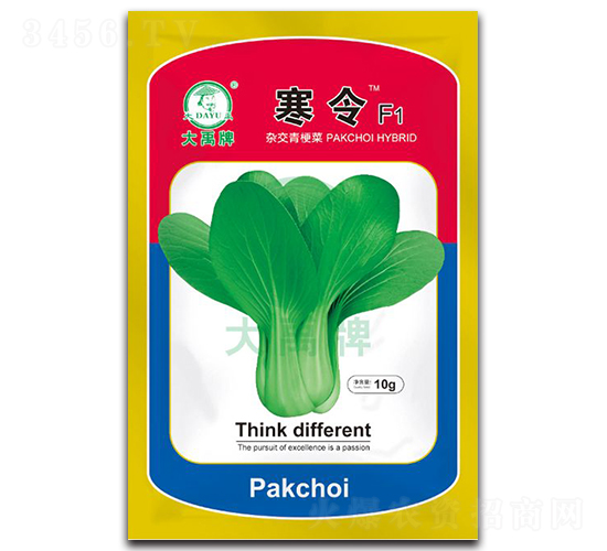 �����Ͳ˷N��-�����N�I(y��)