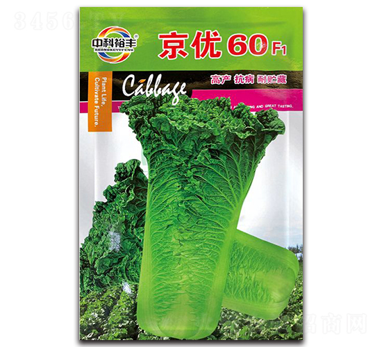 ����(y��u)60���{�N��-�����N�I(y��)