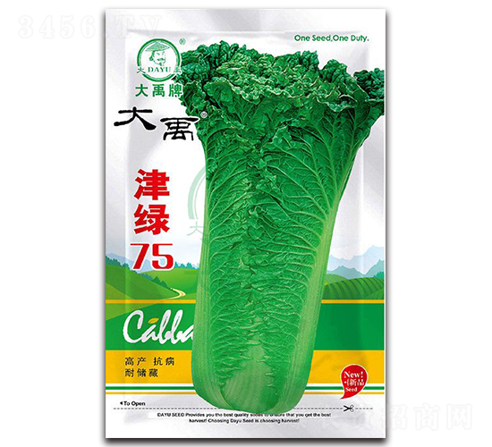 ��G75���{�N��-�����N�I(y��)