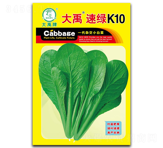 大禹速綠K10小白菜種子-大禹種業(yè)