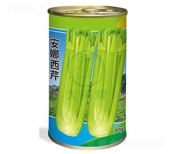 ��������-�۲˷N��-�����N�I(y��)