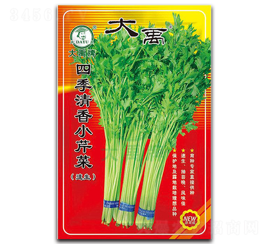 �ļ�����С�۲�-�۲˷N��-�����N�I(y��)