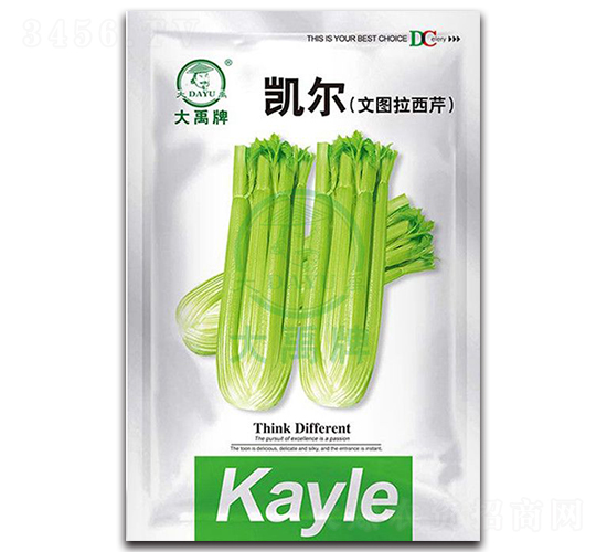 �P���ĈD������-�۲˷N��-�����N�I(y��)