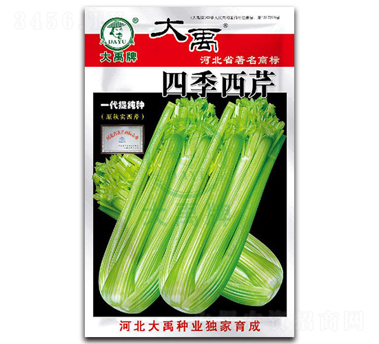 �ļ�����-�۲˷N��-�����N�I(y��)