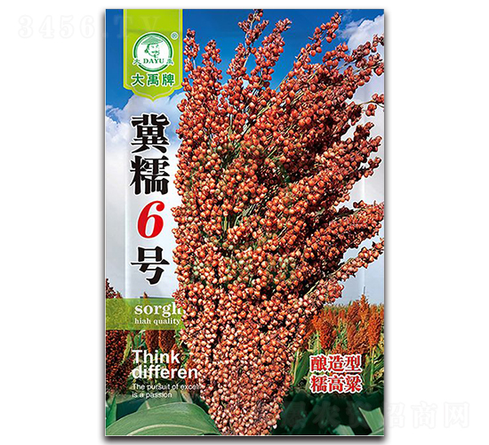 ��Ŵ6̖�����N��-�����N�I(y��)