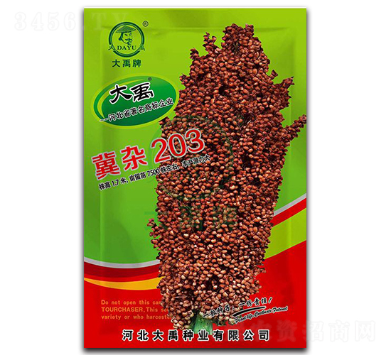 冀雜203高粱種子-大禹種業(yè)