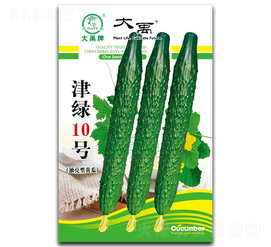 津綠10號黃瓜種子-大禹種業(yè)