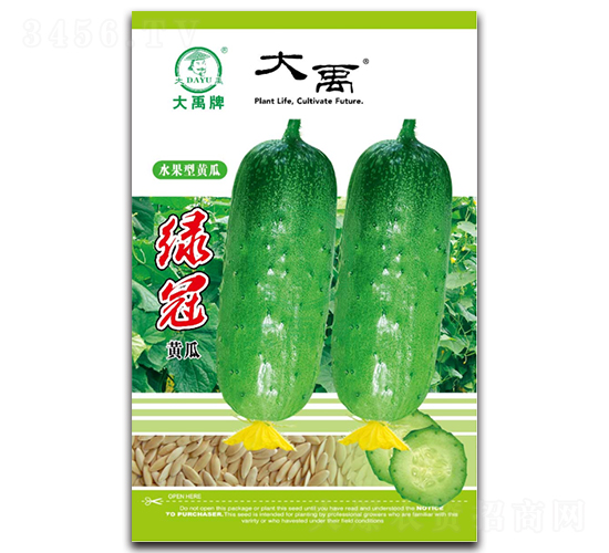 �G���S�ϷN��-�����N�I(y��)