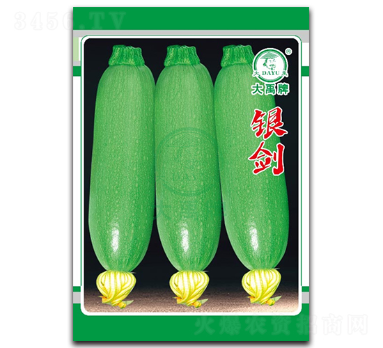 �y�������J�N��-�����N�I(y��)