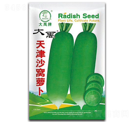 天津沙窩蘿卜種子-大禹種業(yè)
