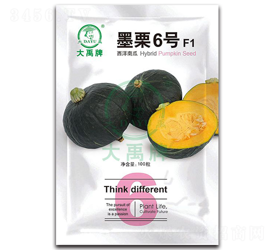 墨栗6號西洋南瓜種子-大禹種業(yè)