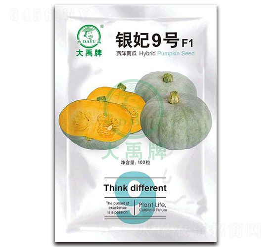 銀妃9號西洋南瓜種子-大禹種業(yè)