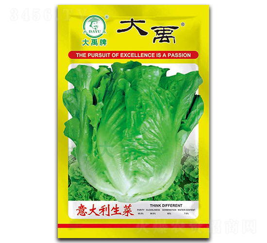 ��������˷N��-�����N�I(y��)