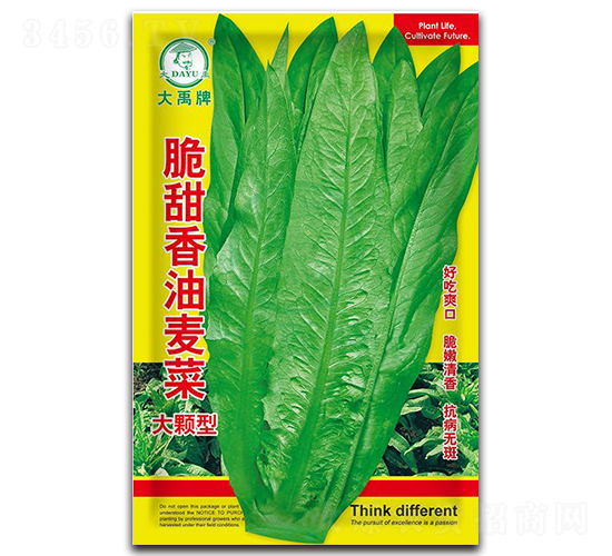 ��������������˷N��-�����N�I(y��)