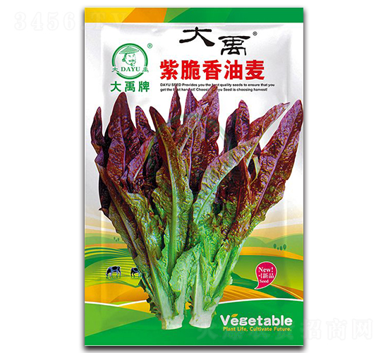 �ϴ����������˷N��-�����N�I(y��)