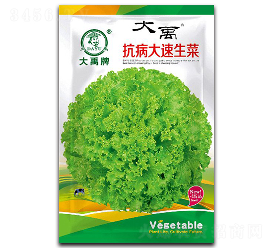 �����������˷N��-�����N�I(y��)