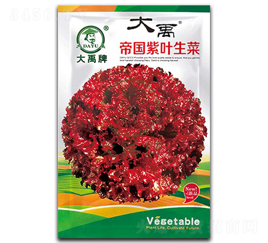 �ۇ����~���˷N��-�����N�I(y��)