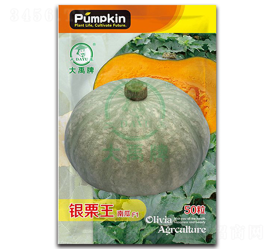 �y�����ϹϷN��-�����N�I(y��)