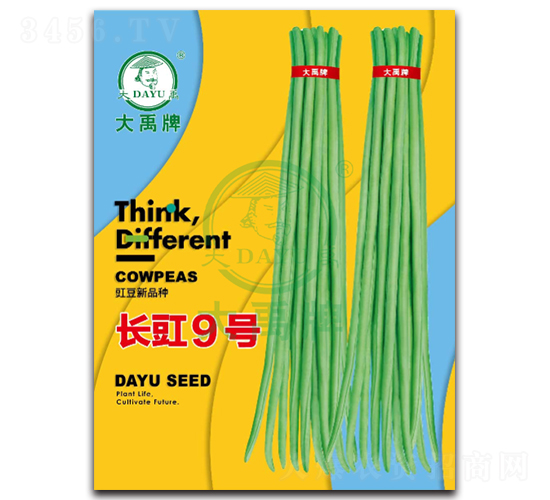 長豇9號-豇豆種子-大禹種業(yè)
