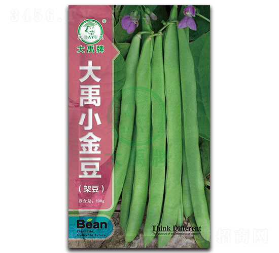 大禹小金豆-架豆種子-大禹種業(yè)