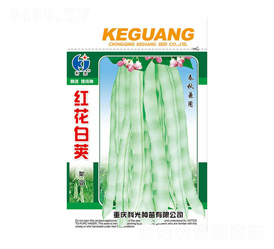 �t�����v�ܶ�-�ƹ�N��