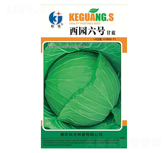 ���@��̖-�ƹ�N��