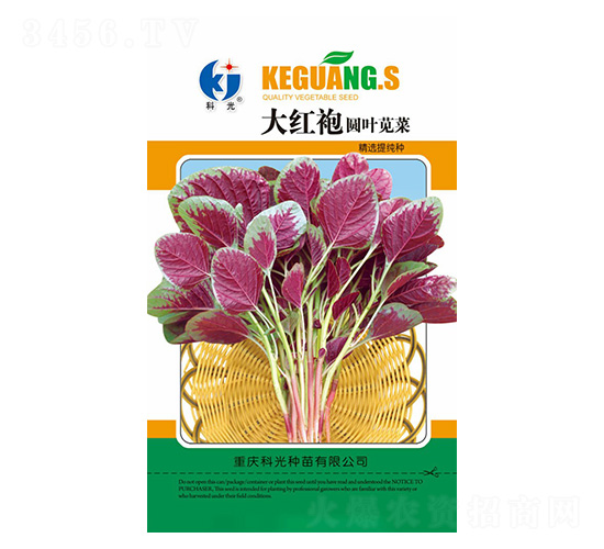 ��t�ۈA�~�{��-�ƹ�N��