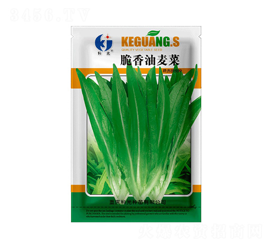 ����������-�ƹ�N��