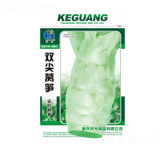 �p���n�S-�ƹ�N��