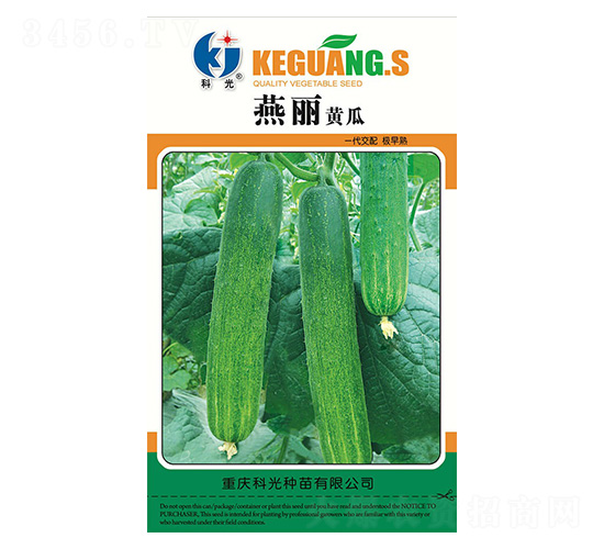 燕麗黃瓜-科光種苗
