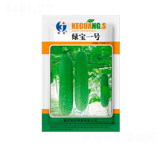 �G��1̖����-�ƹ�N��