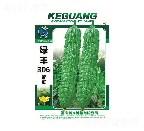 �G�S306-�ƹ�N��