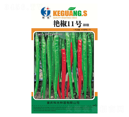 �G��11̖(h��o)-�ƹ�N��