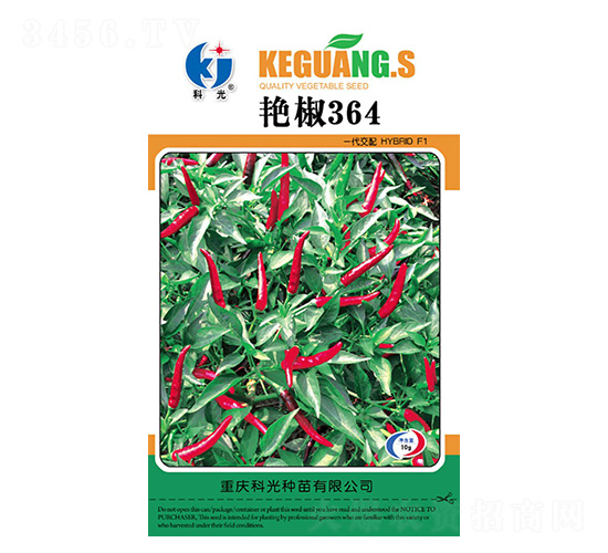 艷椒364-科光種苗
