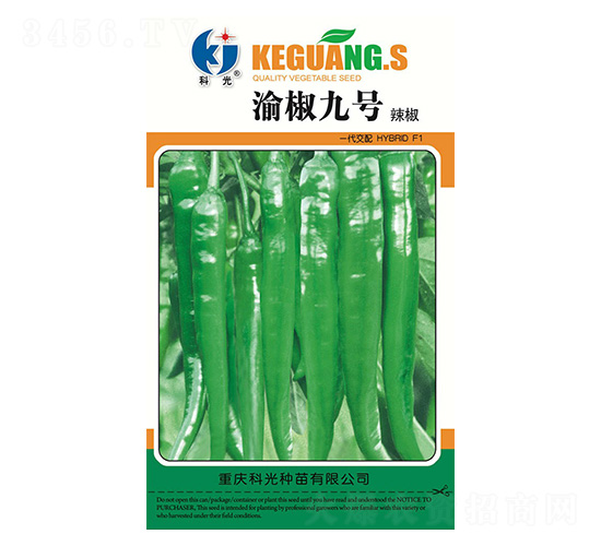 �彷9̖-�ƹ�N��