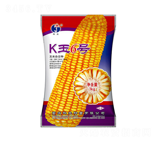 K玉6號(hào)-科光種苗