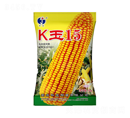 K玉15-科光種苗