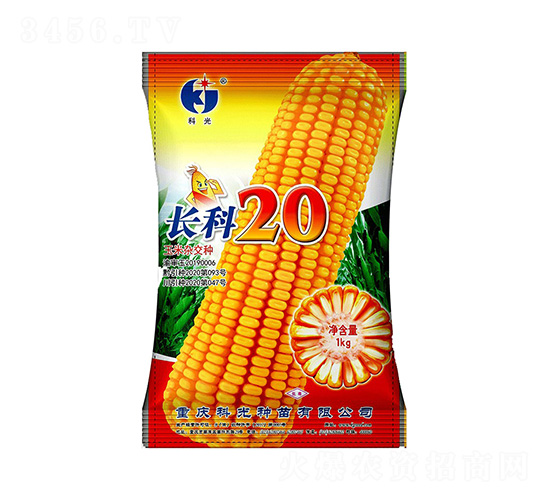 長科20-科光種苗