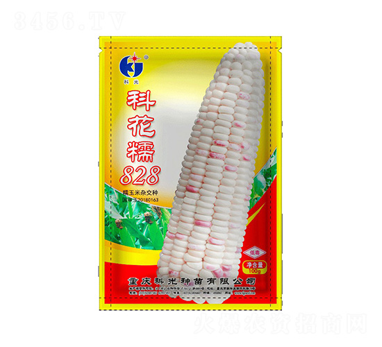科花糯828-科光種苗