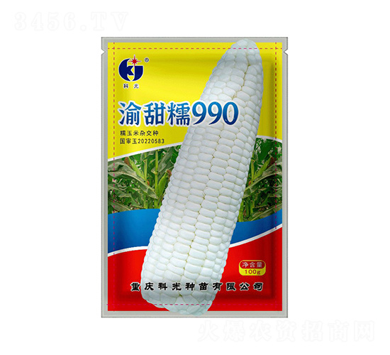 渝甜糯990-科光種苗