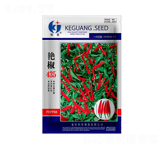 艷椒435辣椒種子-科光種苗