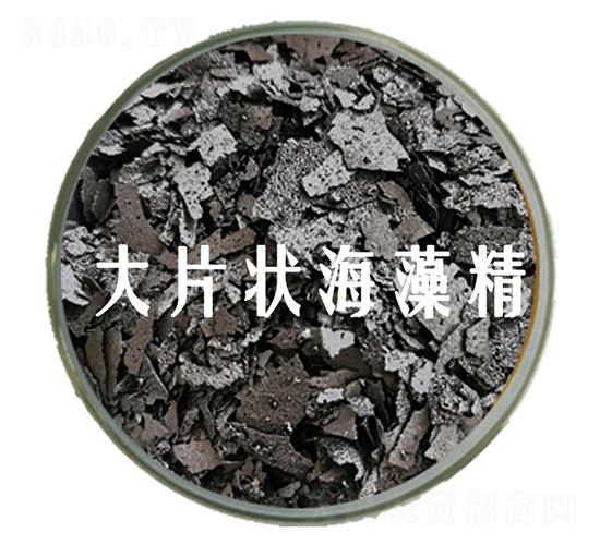 大片狀海藻精-杜斯農(nóng)