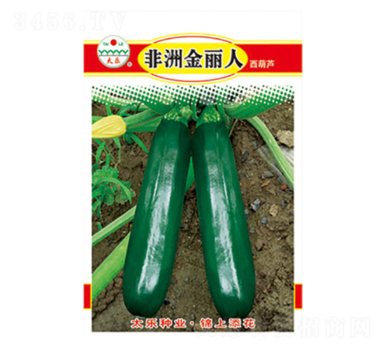 西葫蘆種子-非洲金麗人-太樂種業(yè)