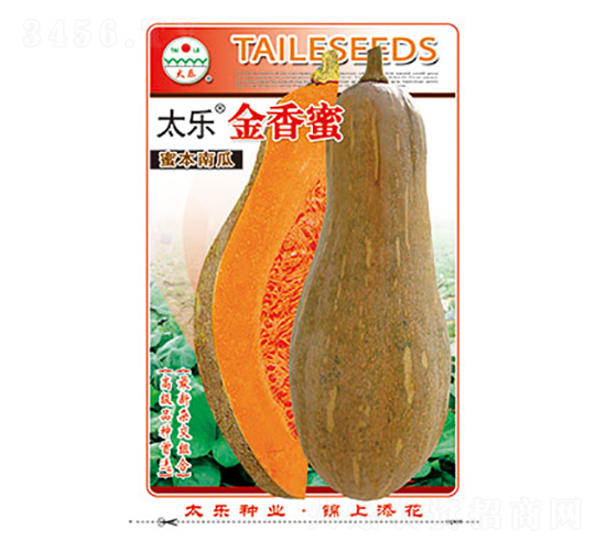 南瓜種子-太樂金香蜜-太樂種業(yè)