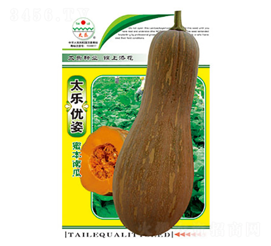 南瓜種子-太樂(lè)優(yōu)姿-太樂(lè)種業(yè)
