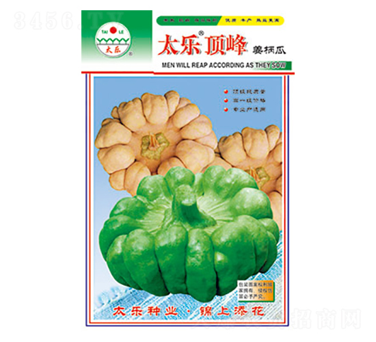 姜柄瓜種子-太樂頂峰-太樂種業(yè)